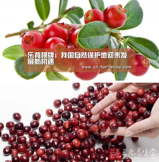 乐竟官网