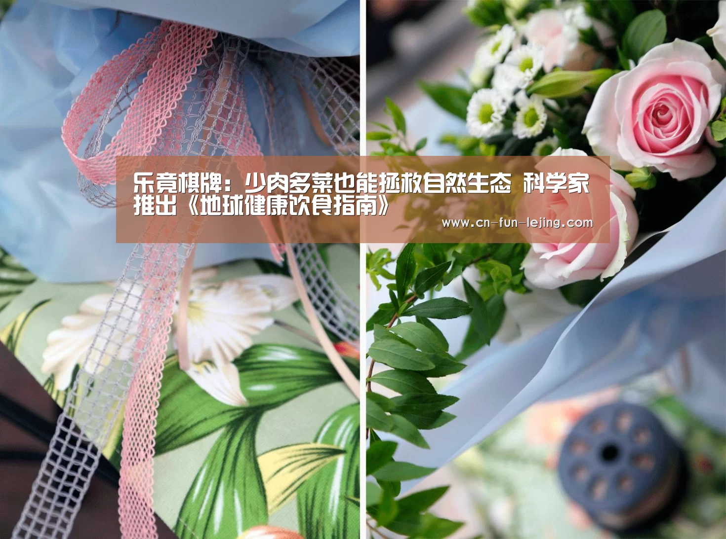 乐竟体育app