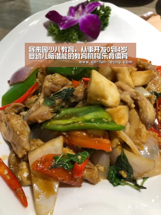 乐竟棋牌