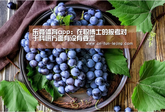 乐竟官网