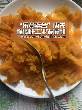 乐竟棋牌