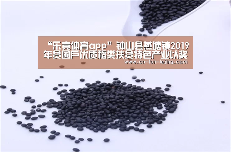 乐竟体育app