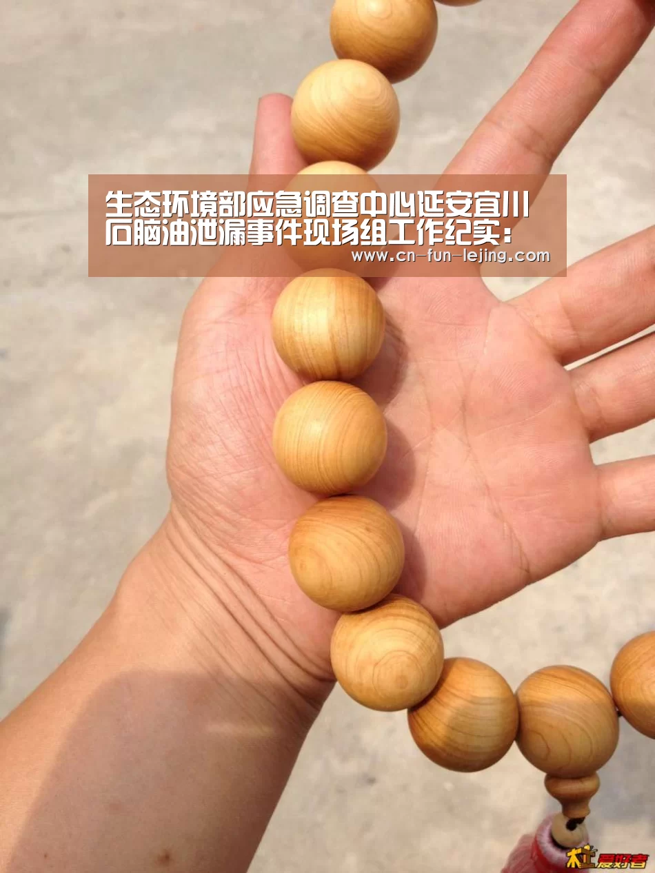 乐竟体育app