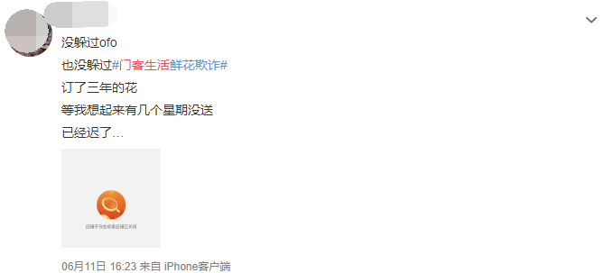 乐竟官网