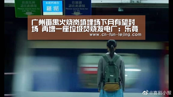 乐竟棋牌